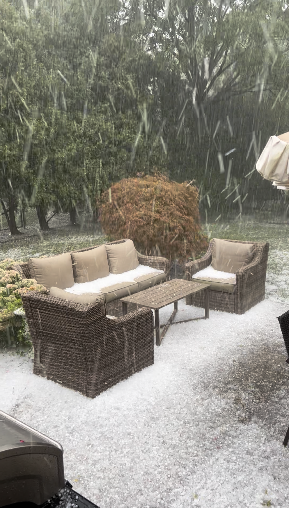 Hail damage in Upper Arlington OH